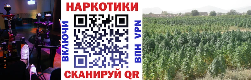 Купить ГАШ  Бошки Шишки  АМФ  Меф мяу мяу  А ПВП  Астрахань