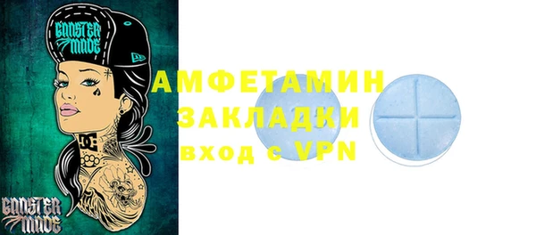 сатива Няндома