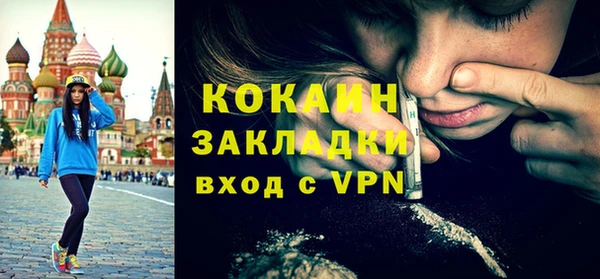 сатива Няндома